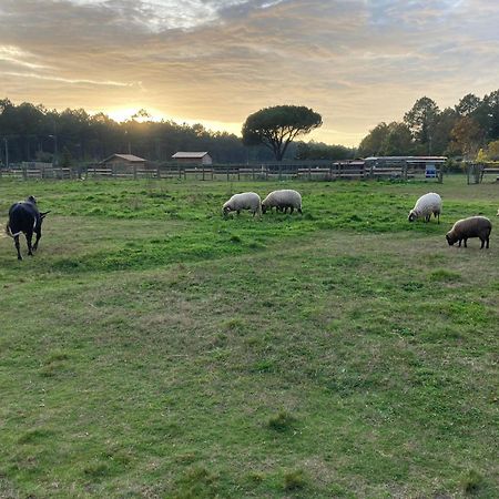 Gite - La Ferme A La Plage Le Porge Kültér fotó