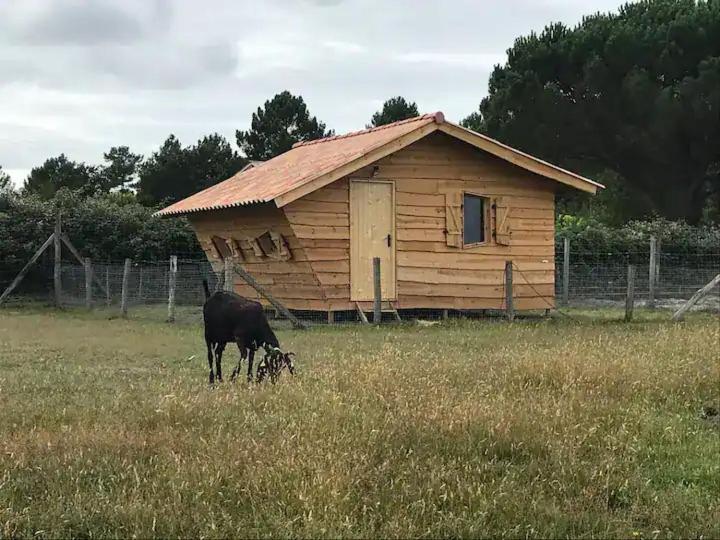 Gite - La Ferme A La Plage Le Porge Kültér fotó